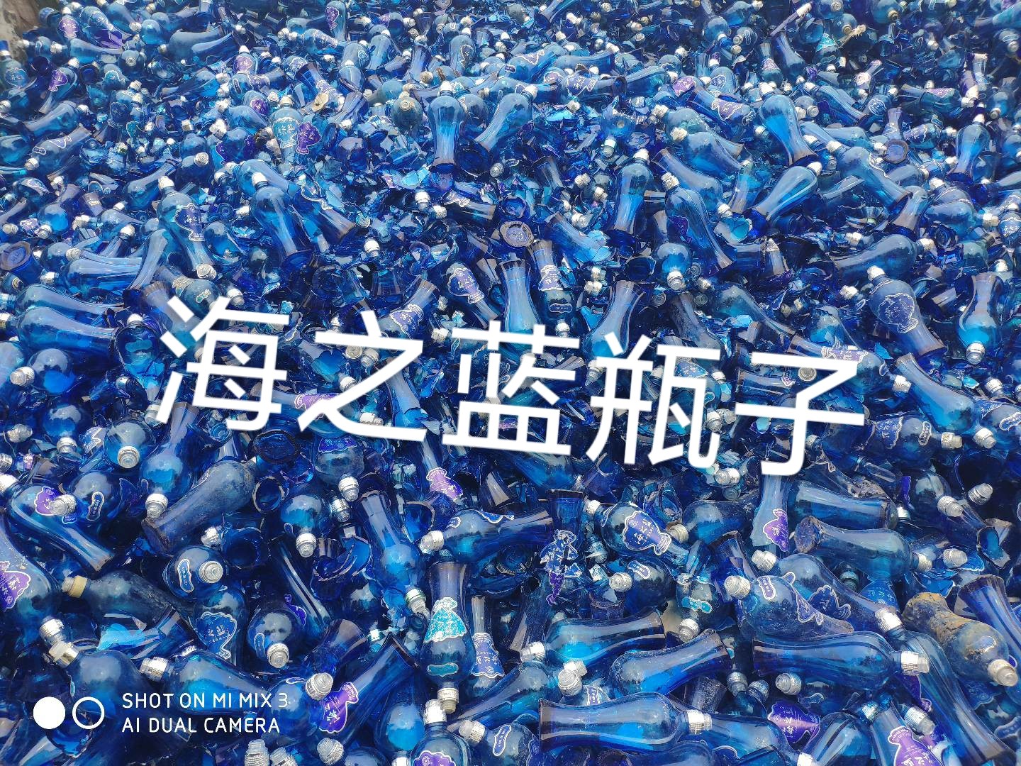如东海之蓝瓶回收